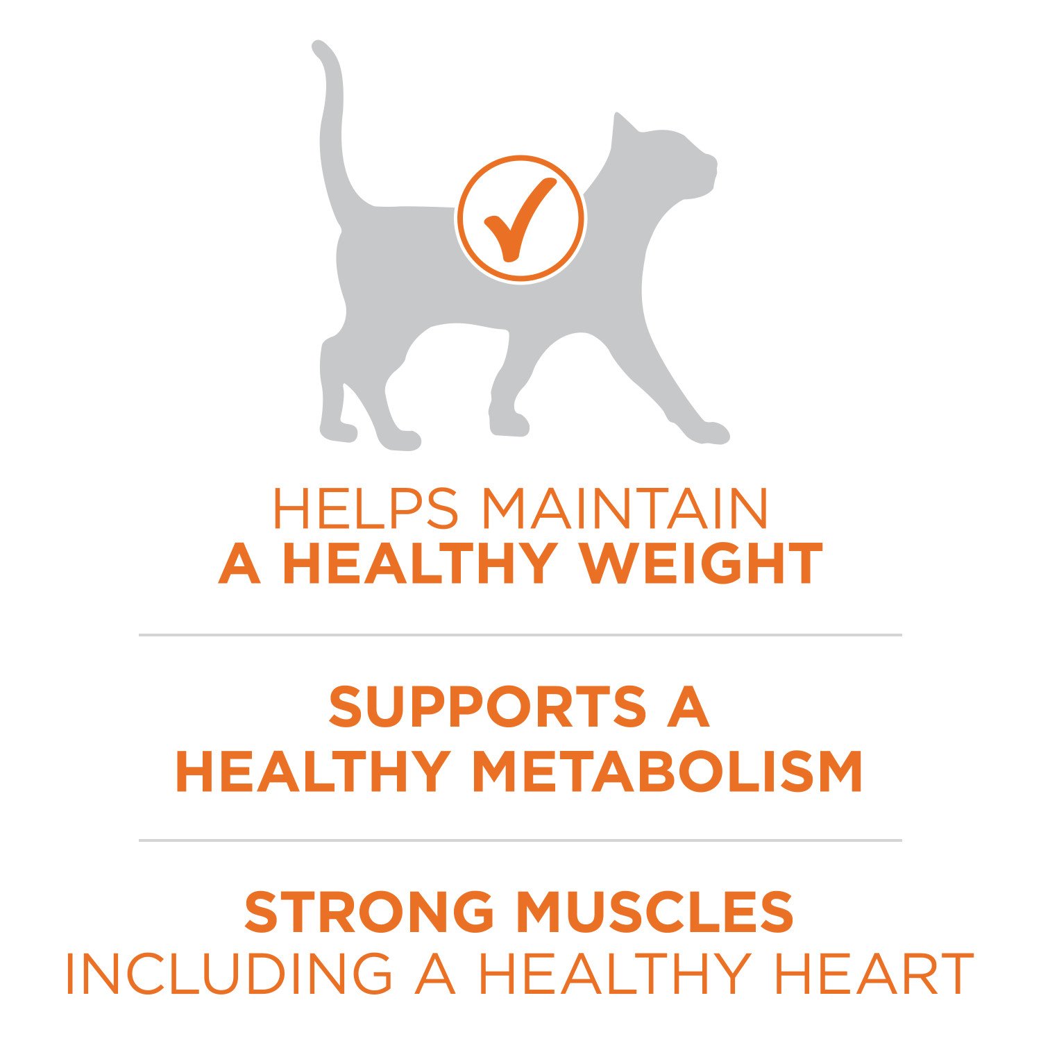 Purina ONE Healthy Metabolism Cat Food Shop Food at H E B