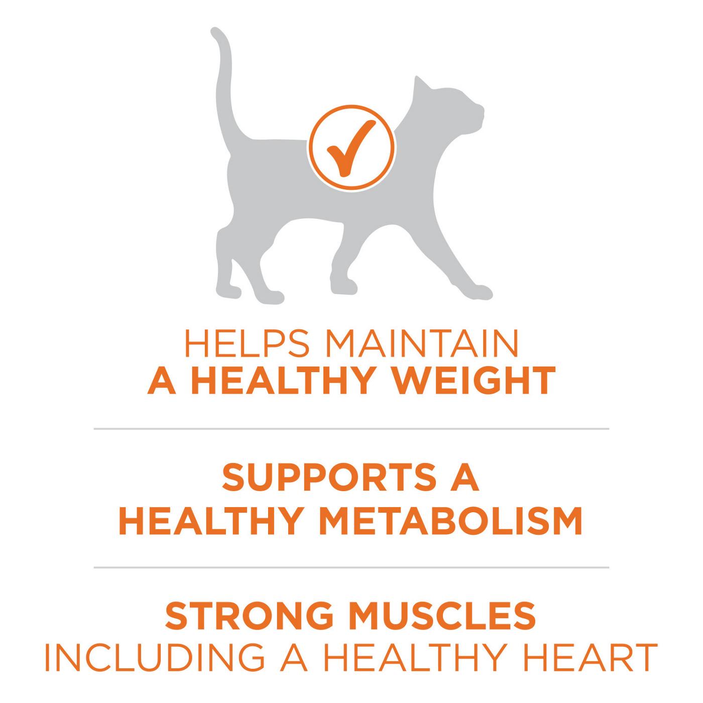 Purina ONE High Protein, Healthy Weight Plus Ideal Weight Dry Cat Food Weight Control Formula - Chicken; image 2 of 8