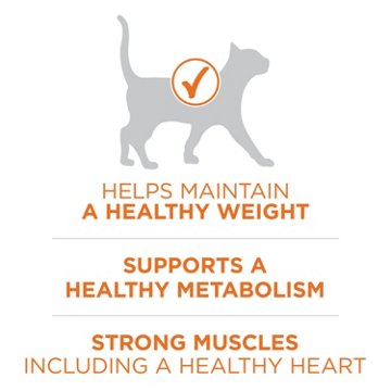 Purina ONE High Protein, Healthy Weight Plus Ideal Weight Dry Cat Food Weight Control Formula - Chicken