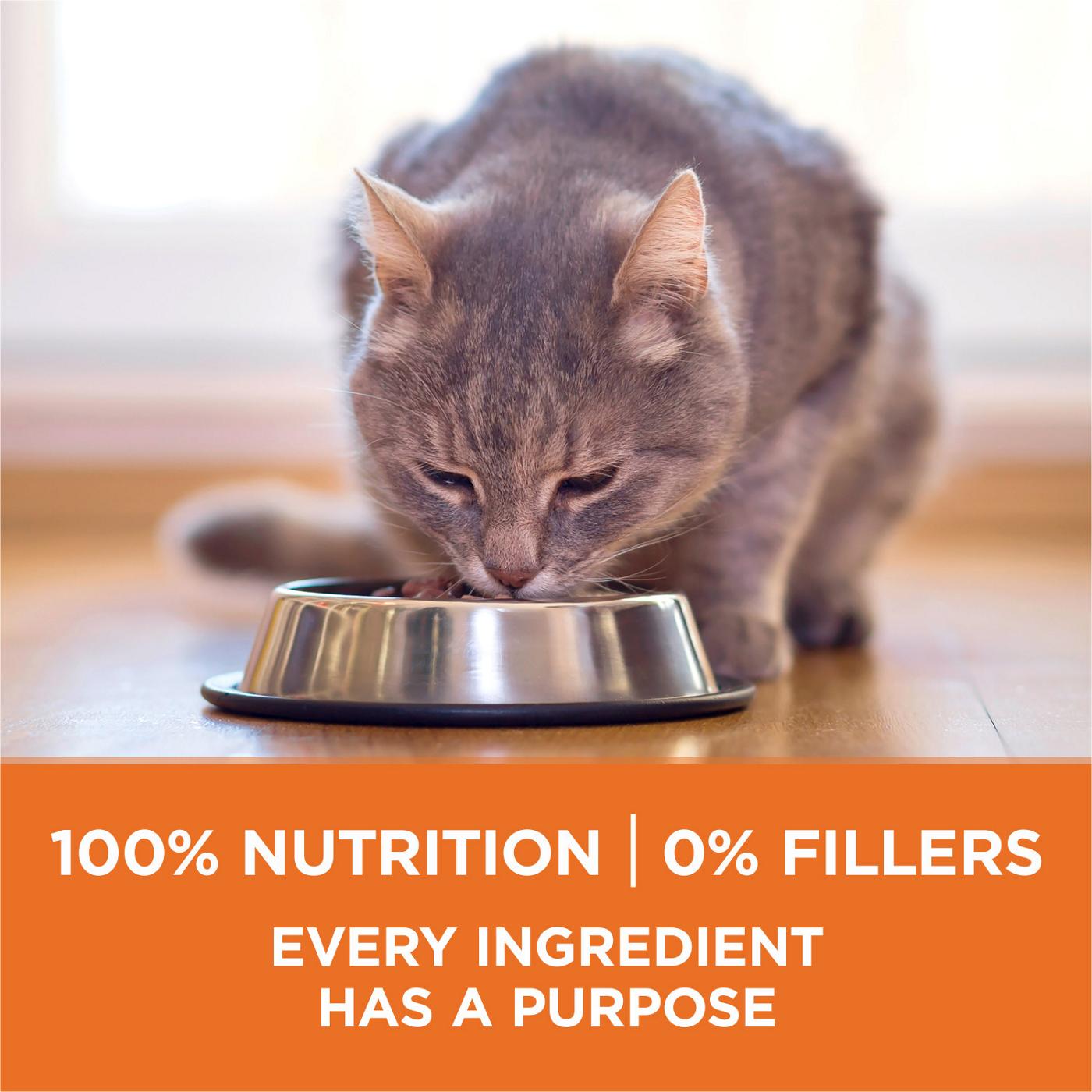 Purina ONE Purina ONE High Protein, Healthy Weight Dry Cat Food, +Plus Ideal Weight With Turkey; image 3 of 7