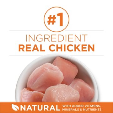 Purina ONE High Protein, Healthy Weight Plus Ideal Weight Dry Cat Food Weight Control Formula - Chicken