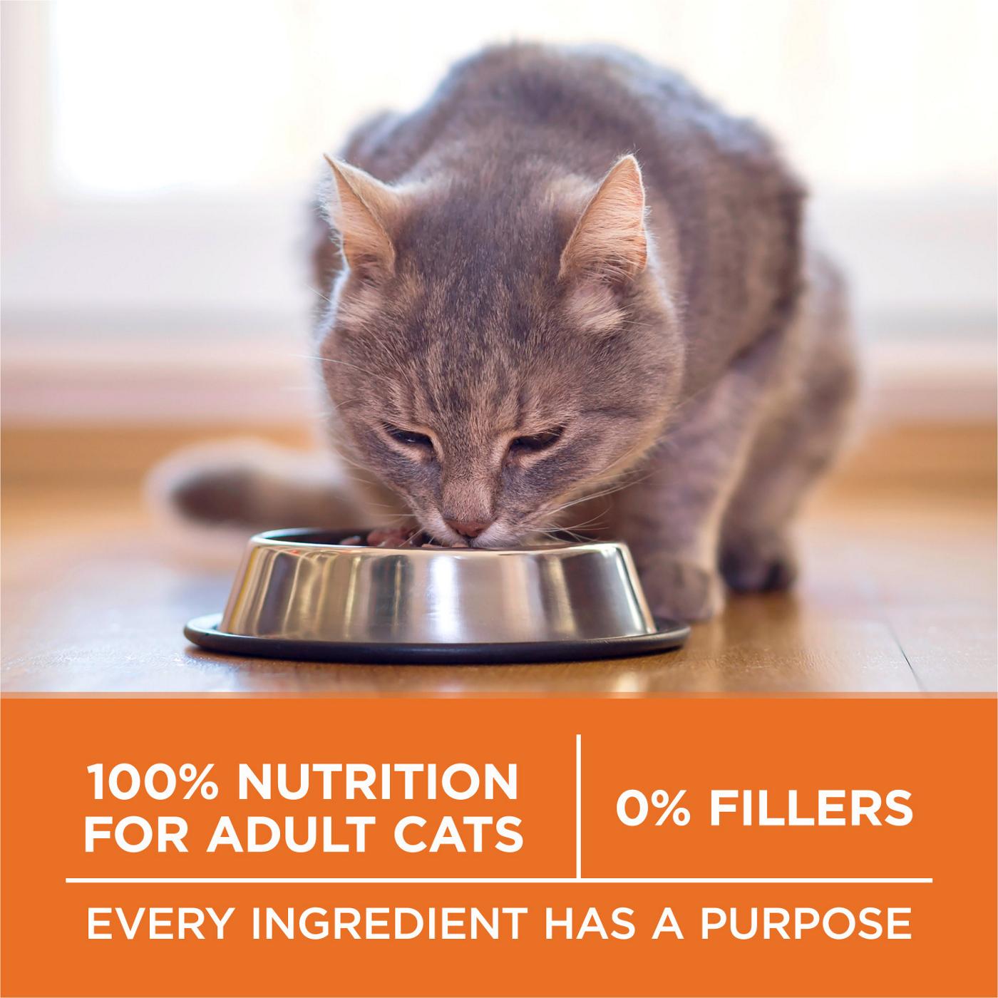 Purina ONE Purina ONE High Protein, Healthy Weight Dry Cat Food, +Plus Ideal Weight With Turkey; image 5 of 7