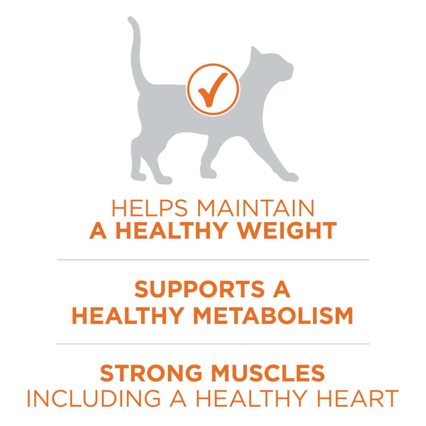 Purina one 2024 healthy metabolism