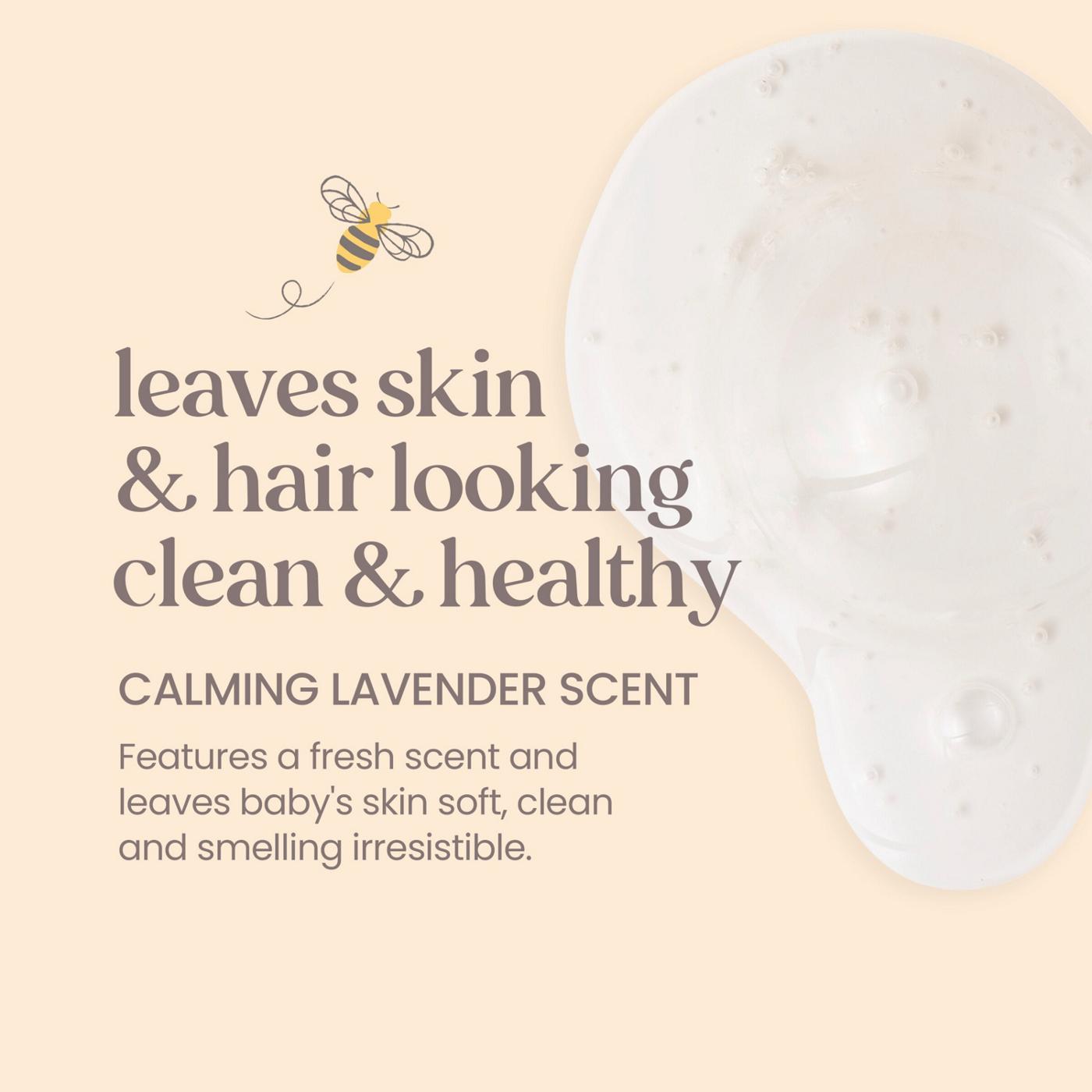 Burt's Bees Calming Shampoo & Wash with Lavender; image 9 of 10