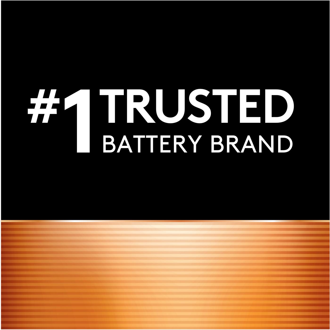 Duracell Coppertop AAA Alkaline Batteries; image 4 of 5