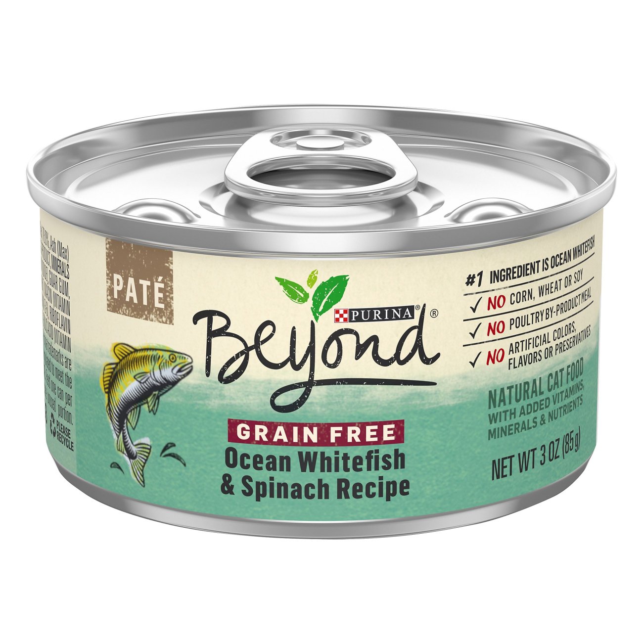 Purina Beyond Grain Free Ocean Whitefish Egg Recipe Dry Cat Food