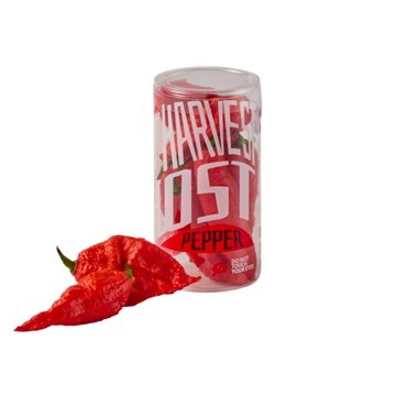 Fresh Ghost Chili Peppers