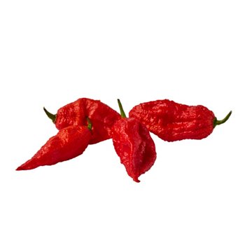 Fresh Ghost Chili Peppers