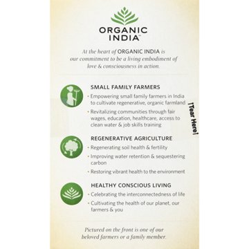 Organic India Tulsi Holy Basil Lemon Ginger Infusion Tea Bags