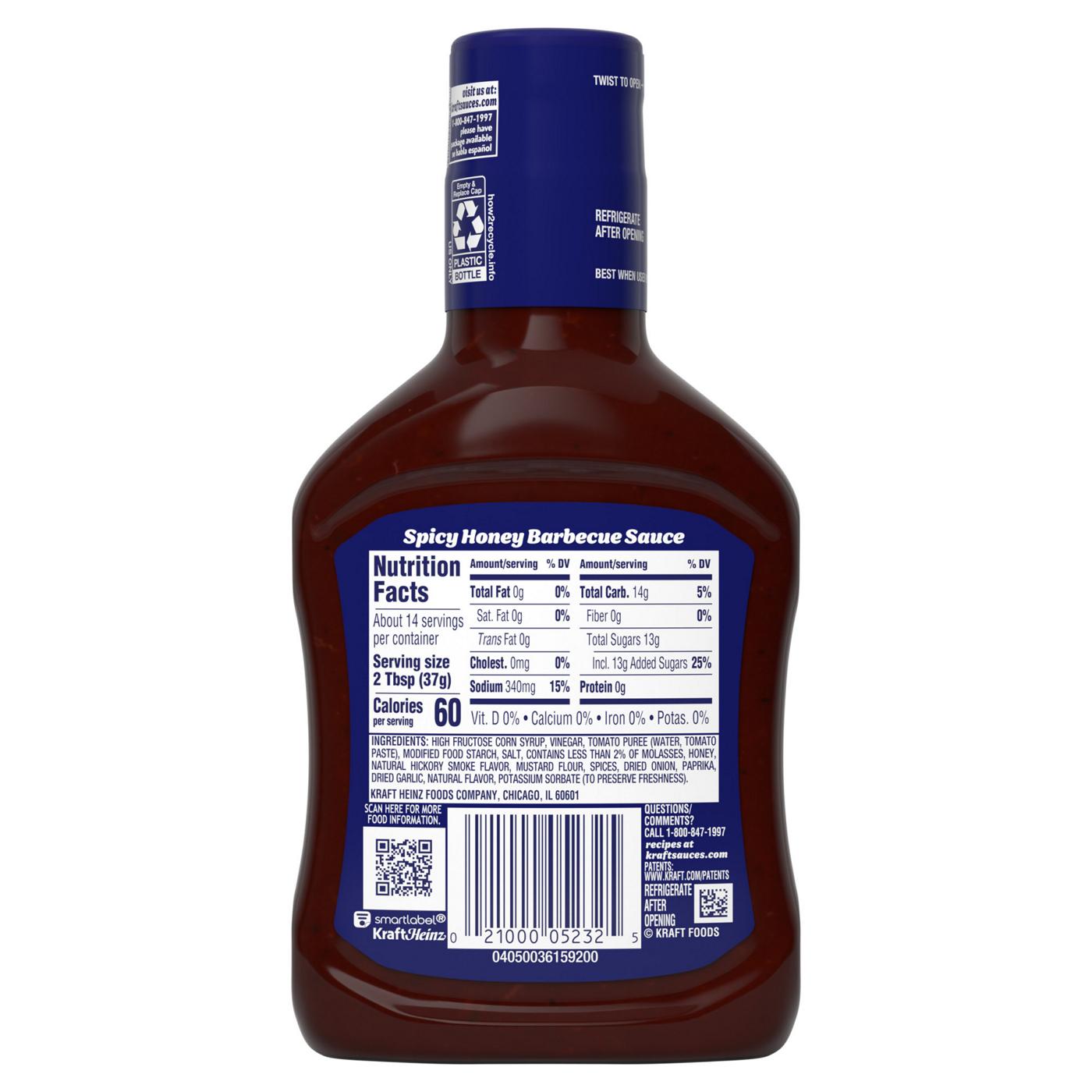 Kraft Slow-Simmered Spicy Honey Barbecue Sauce & Dip; image 5 of 5