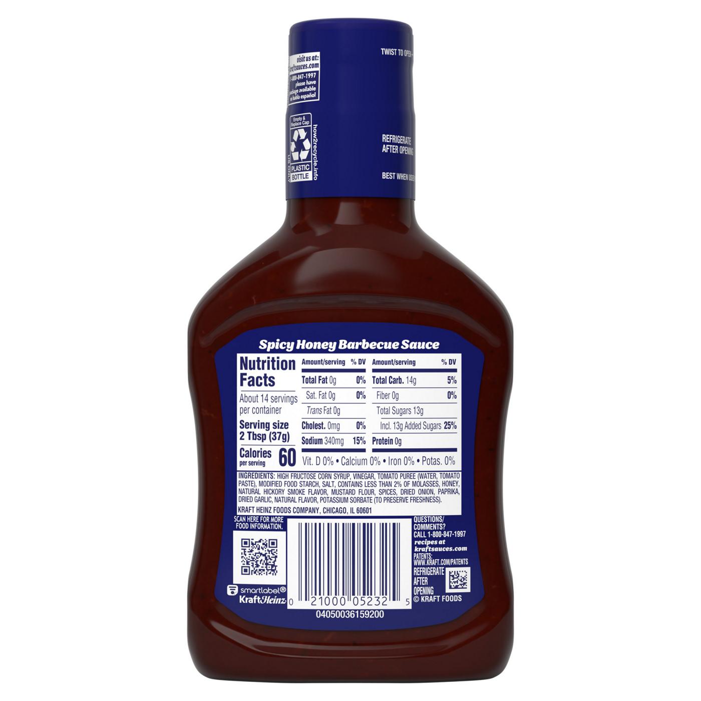 Kraft Slow-Simmered Spicy Honey Barbecue Sauce And Dip; image 5 of 5