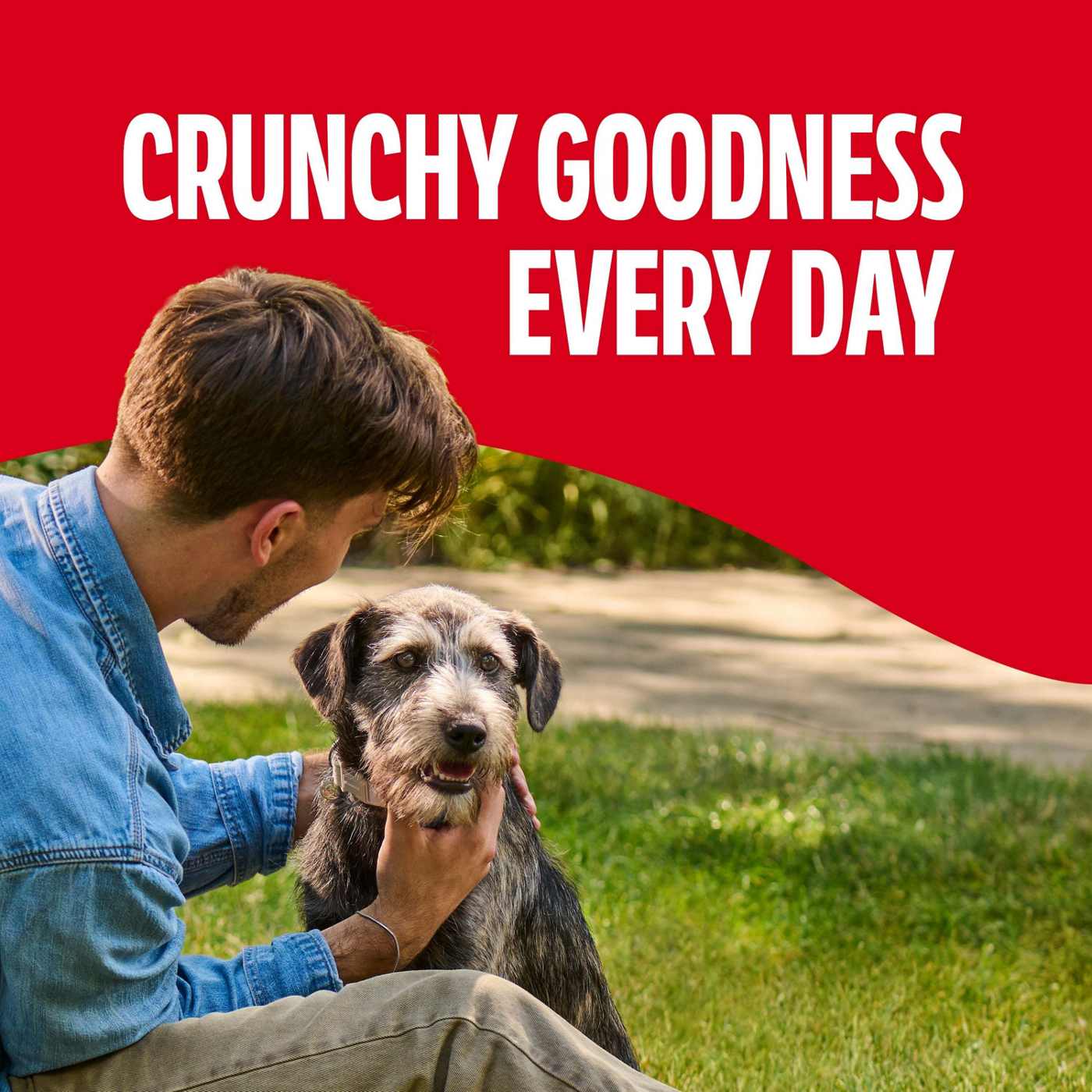 MilkBone Original Biscuits Medium Dog Treats; image 3 of 7