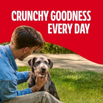 MilkBone Original Biscuits Medium Dog Treats, 17 oz