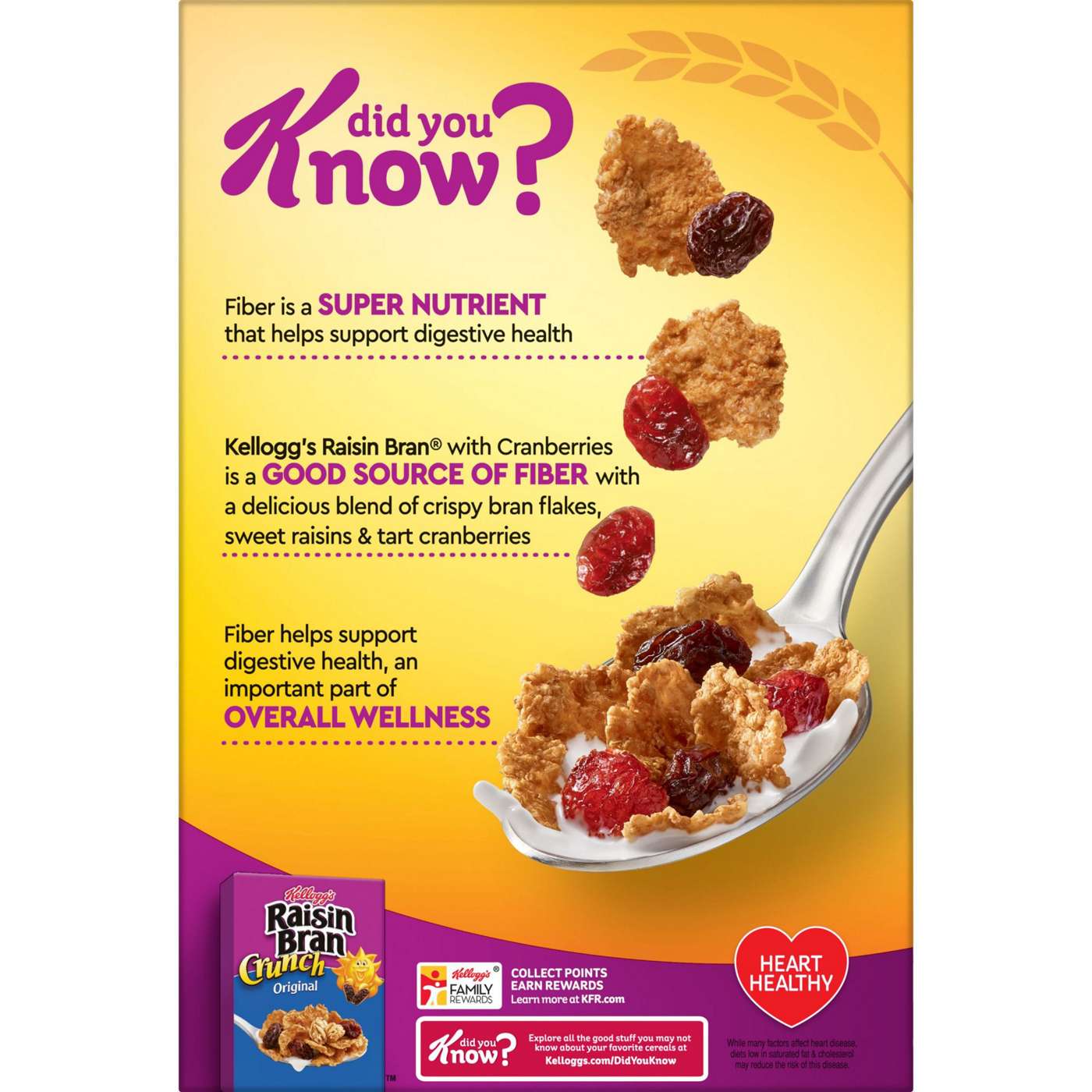 Kellogg's Raisin Bran Original with Cranberries Cold Breakfast Cereal; image 3 of 5