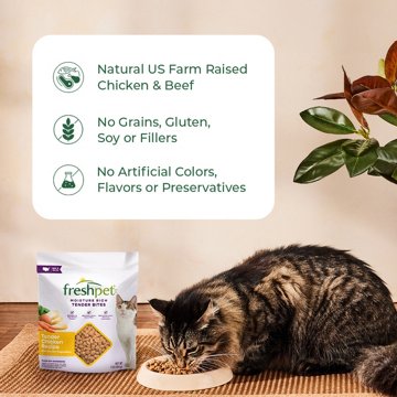 Freshpet Select Healthy & Natural Cat Food - Fresh Chicken & Beef Pate Roll