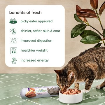 Freshpet Select Healthy & Natural Cat Food - Fresh Chicken & Beef Pate Roll