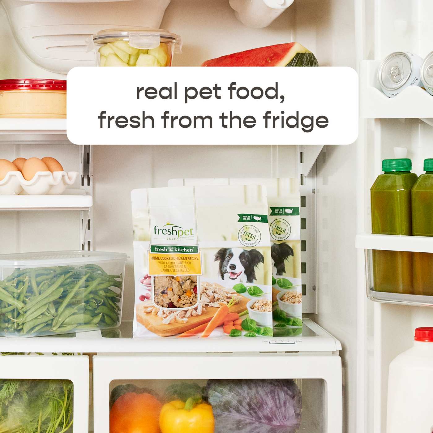 Freshpet Roasted Meals Chicken Fresh Dog Food Shop Food at HEB