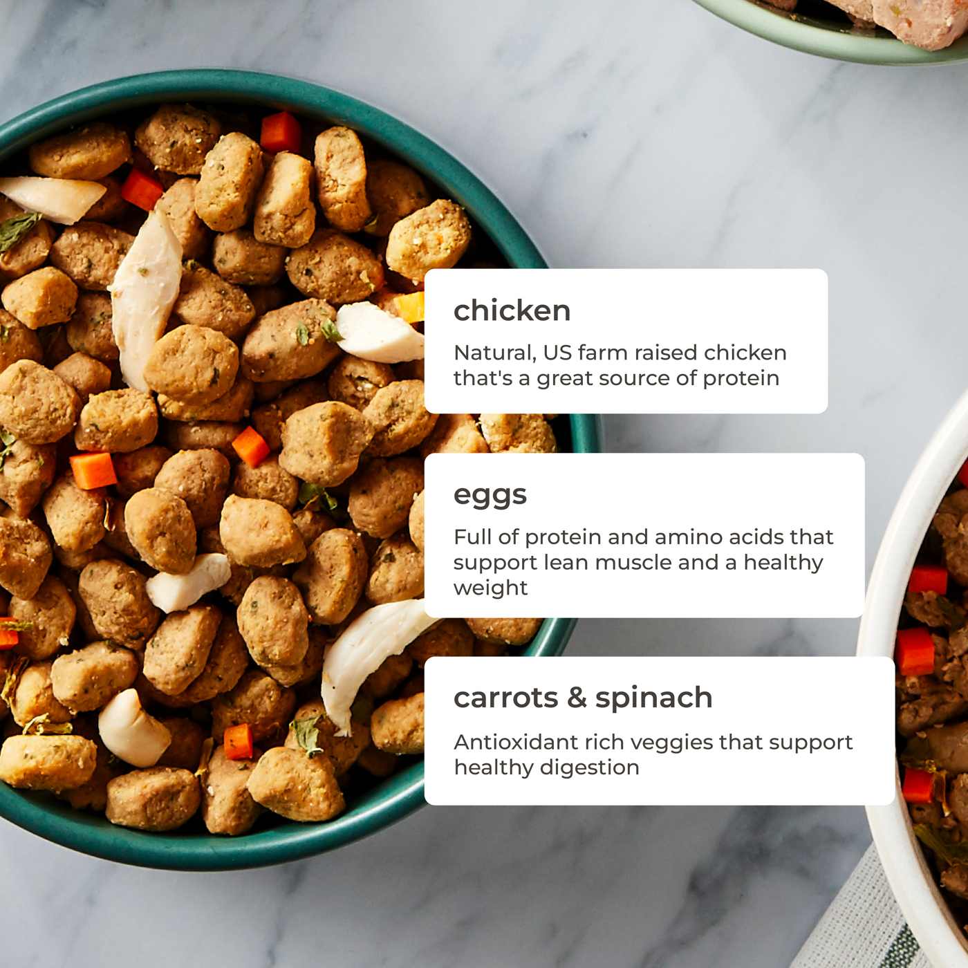 Freshpet Roasted Meals Chicken Fresh Dog Food Shop Food at HEB