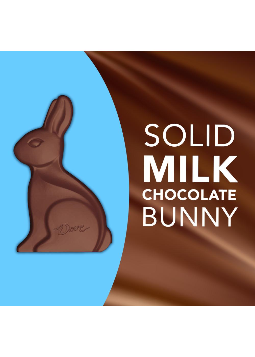 Dove Solid Milk Chocolate Bunny Easter Candy Shop Candy at HEB