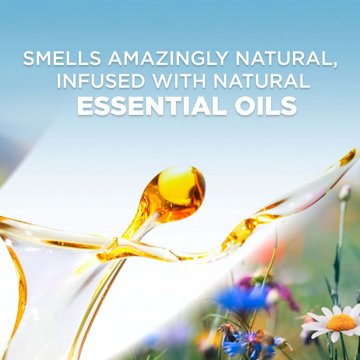 Air Wick Scented Oil Refill, Plug In Air Freshener, Summer Delights