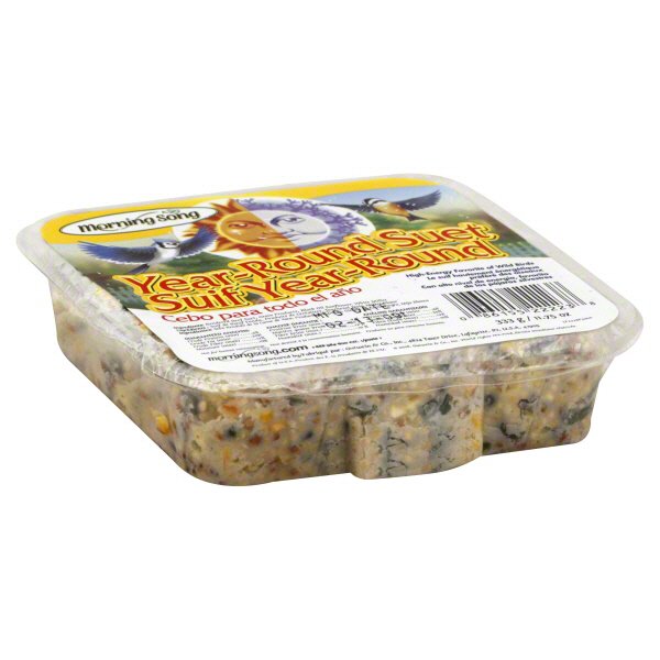 Morning Song Year Round Suet Shop Birds at HEB