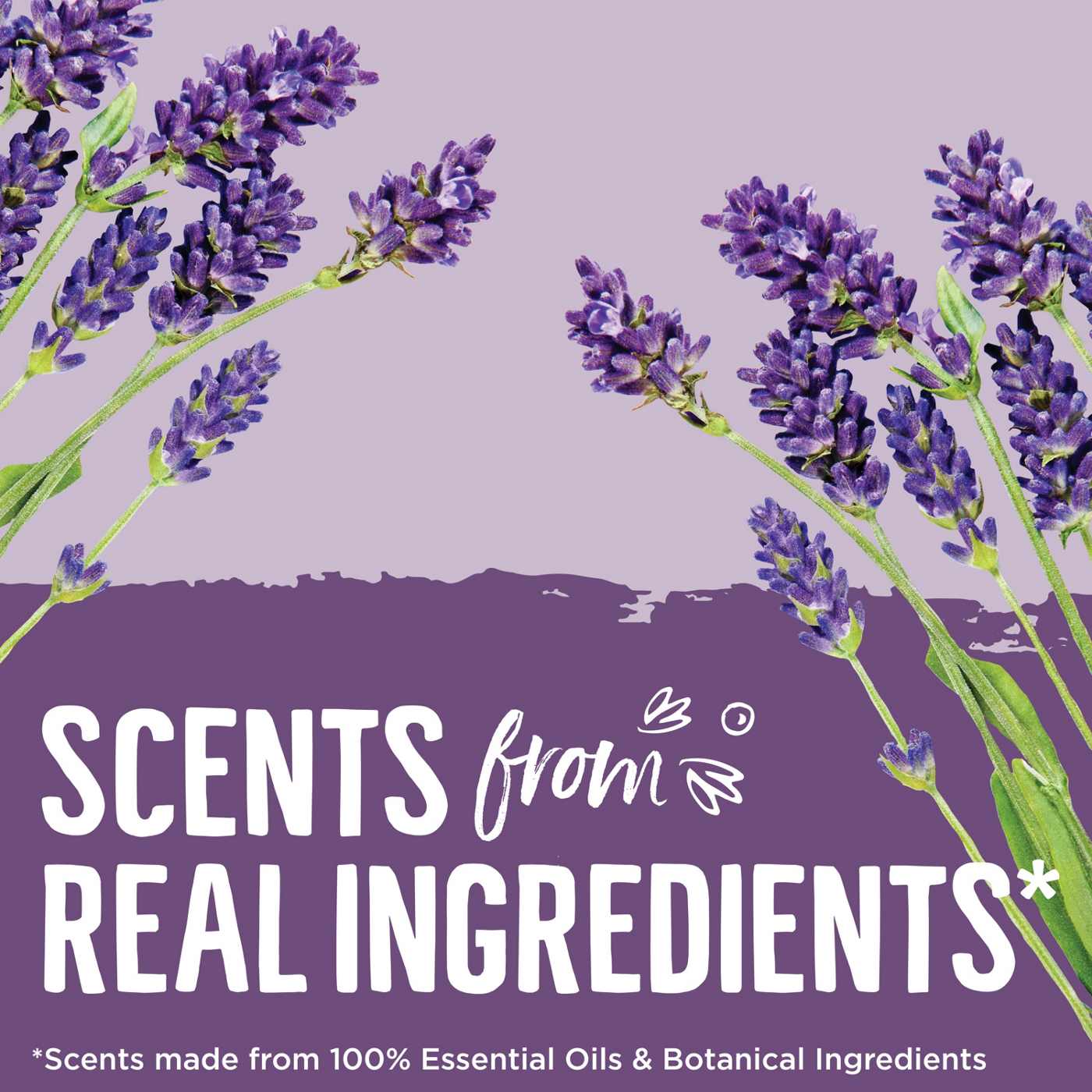 Seventh Generation Lavender HE Liquid Laundry Detergent 90 Loads; image 15 of 16