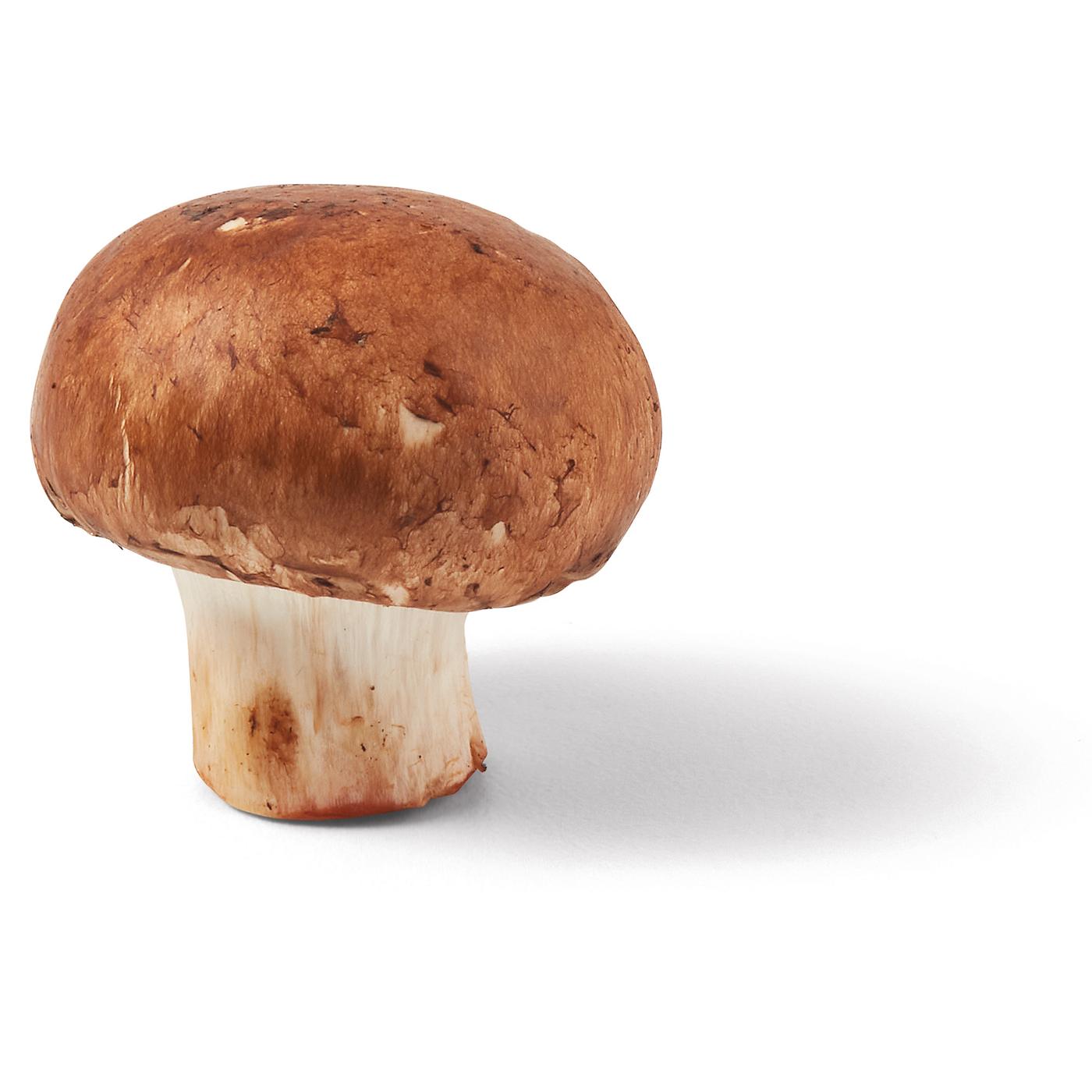 H-E-B Organics Texas Roots Whole Baby Bella Mushrooms; image 2 of 4