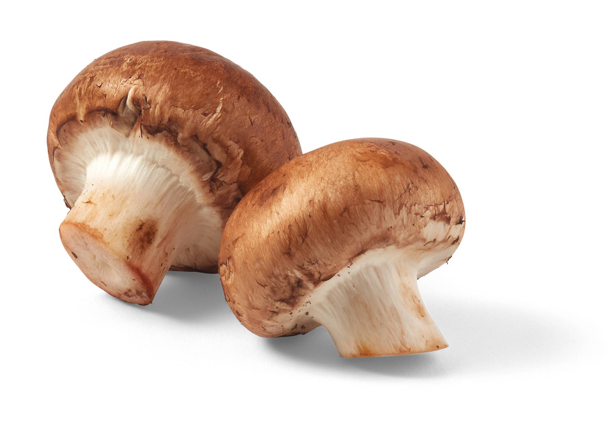 H-E-B Organics Texas Roots Whole Baby Bella Mushrooms; image 3 of 4