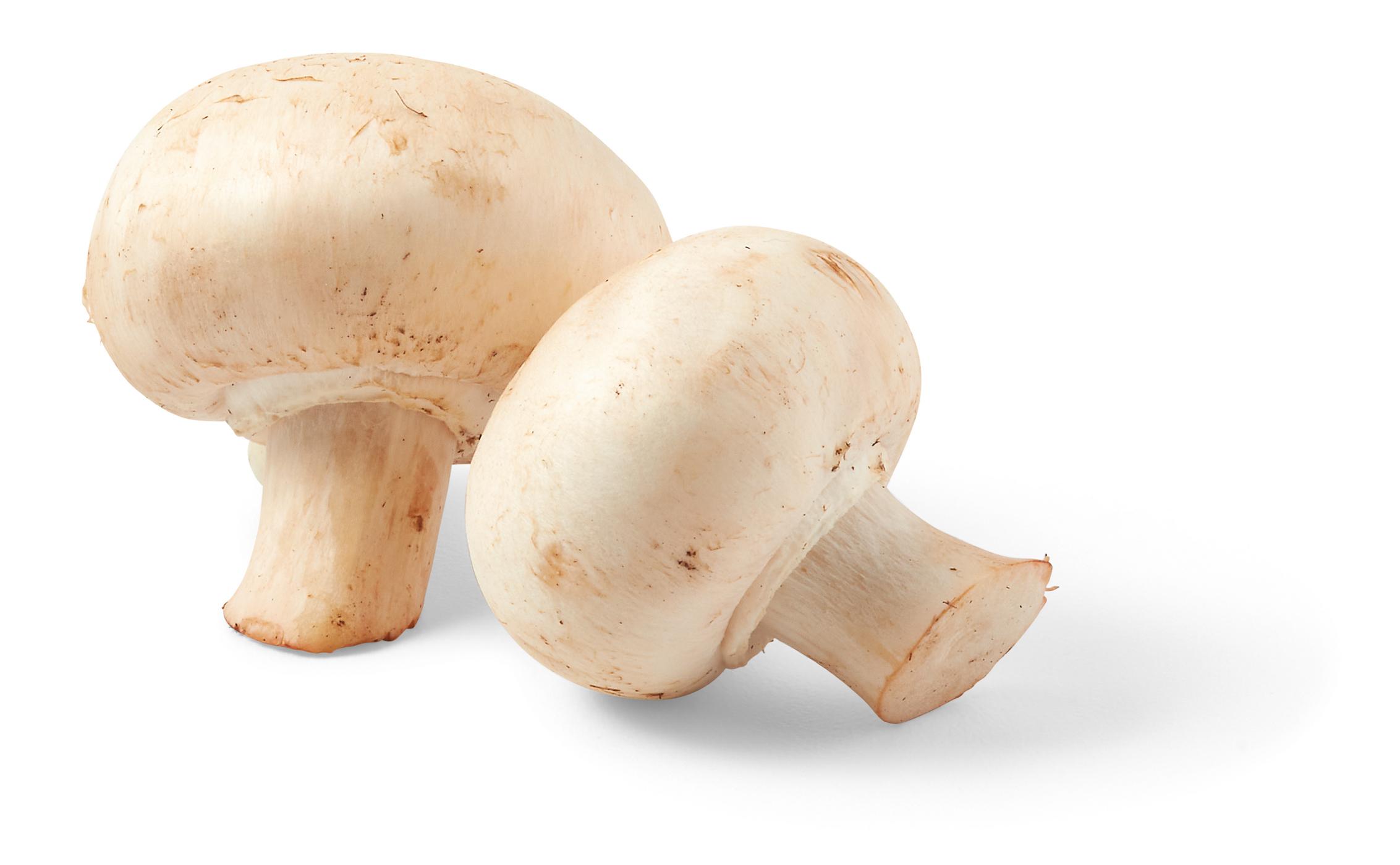 H-E-B Organics Texas Roots Whole White Mushrooms; image 3 of 4