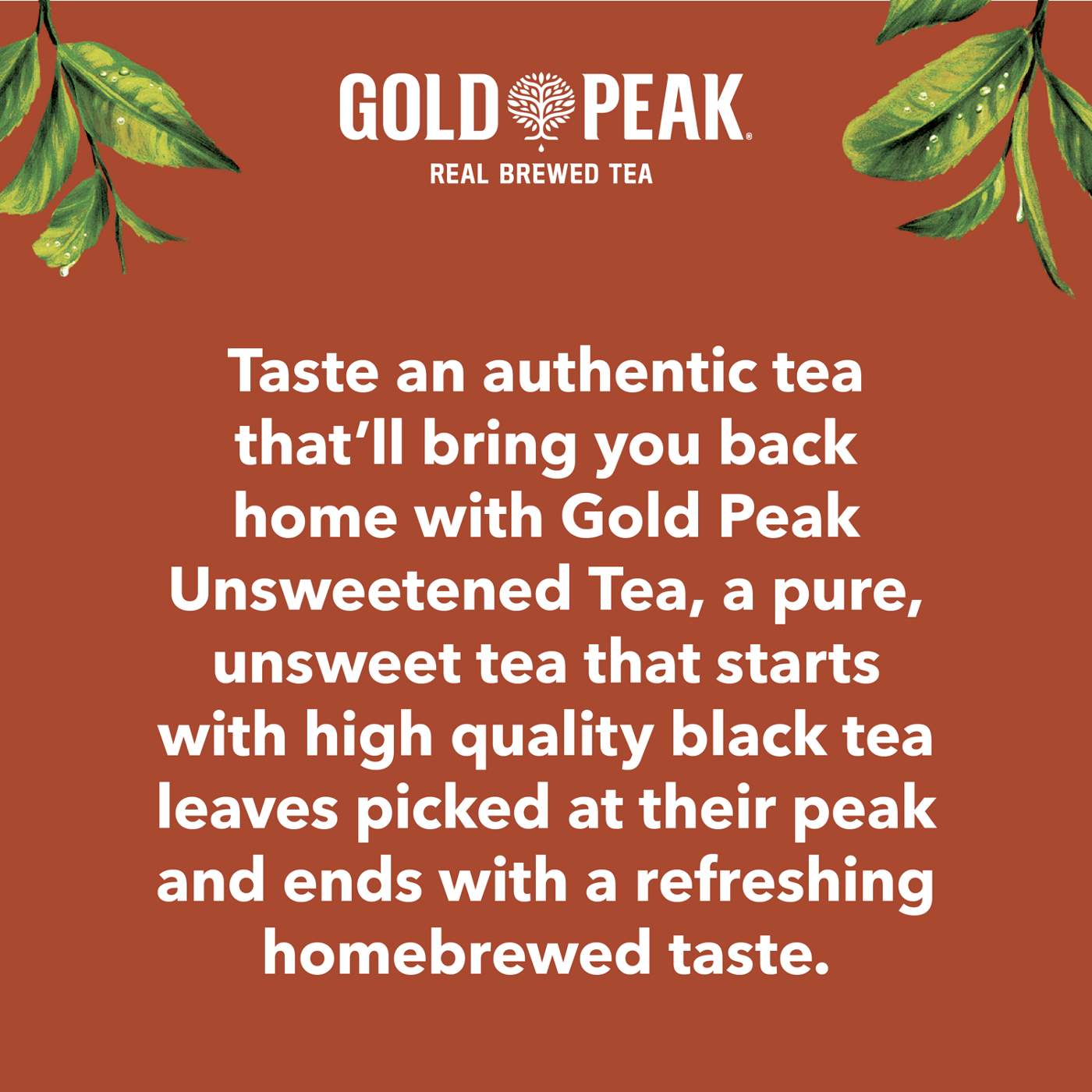 Gold Peak Unsweetened Black Tea 16.9 oz Bottles; image 3 of 8