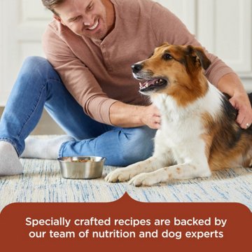 Rachael Ray Nutrish Natural Wet Dog Food Variety Pack