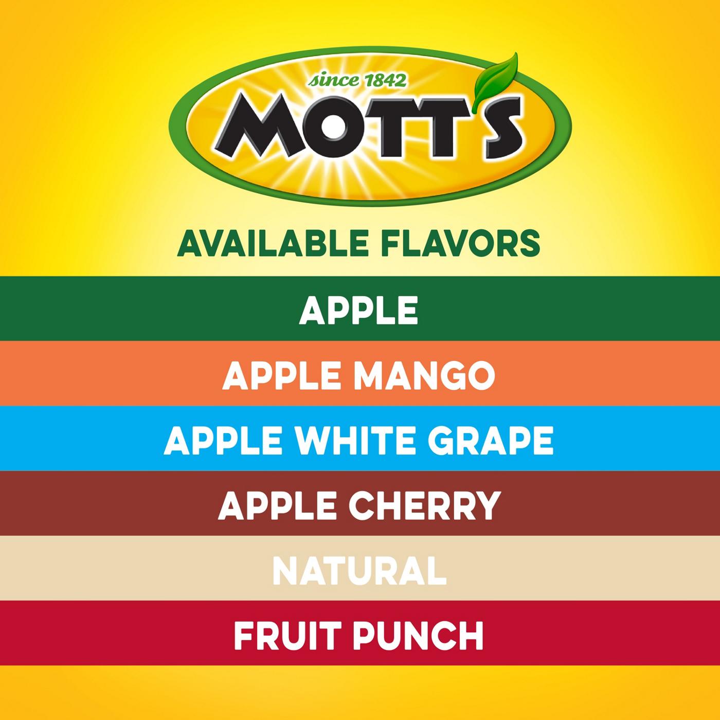 Mott's 100% Apple White Grape Juice 8 oz Bottles; image 6 of 6