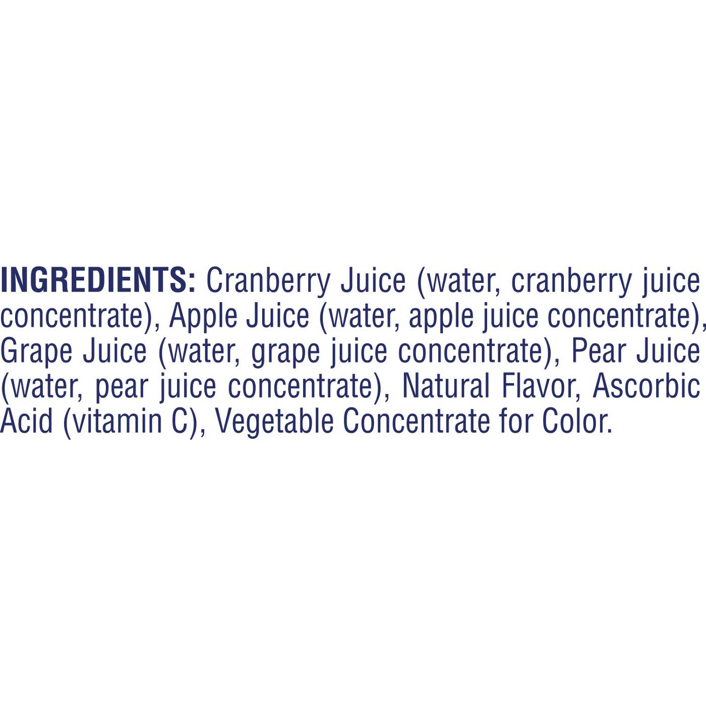 Ocean Spray Ocean Spray® 100% Juice Cranberry Juice Blend, 10 Fl Oz Bottles, 6 Count; image 3 of 4