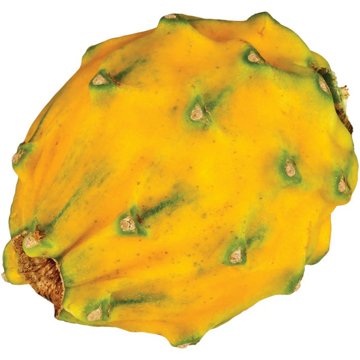 Fresh Yellow Dragon Fruit, Avg. 0.72 lb