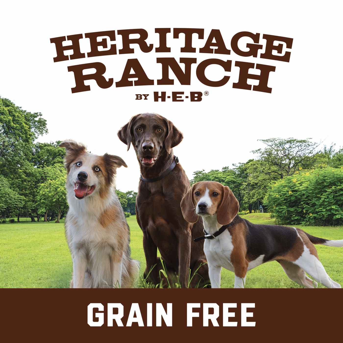 Heritage Ranch by H-E-B Adult Grain-Free Dry Dog Food - Salmon & Chickpea; image 3 of 7