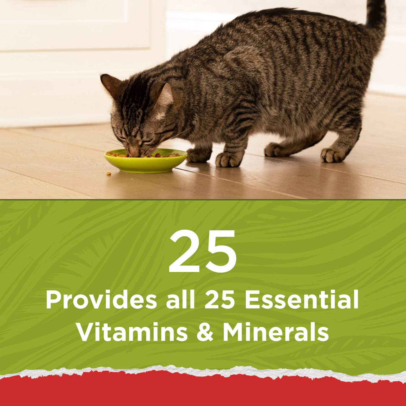 Cat Chow Purina Cat Chow Naturals With Added Vitamins, Minerals and Nutrients Dry Cat Food, Naturals Original; image 3 of 6