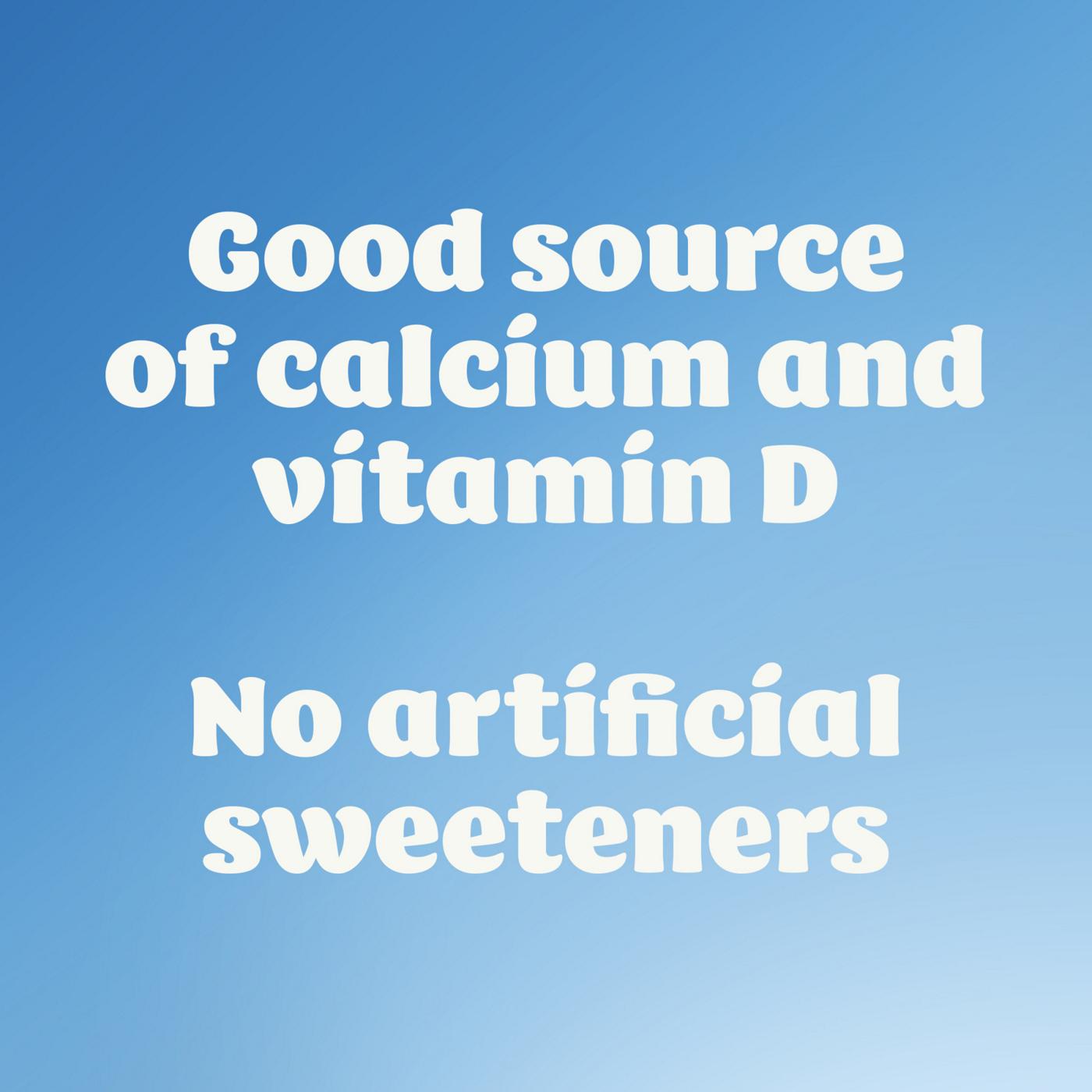 Silk Soymilk Yogurt Alternative - Vanilla; image 8 of 8