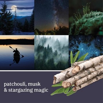 Yankee Candle Smart Scent Vent Clip - Midsummer's Night