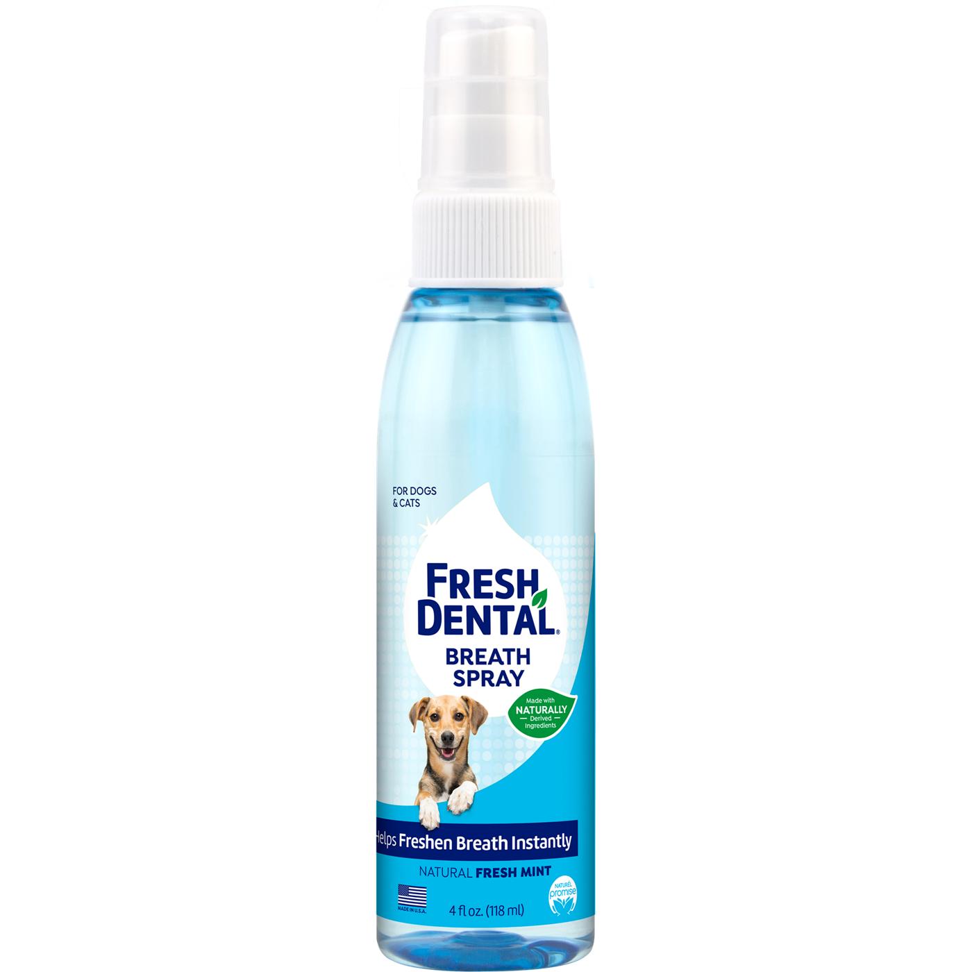 Naturel Promise Fresh Dental Fresh Breath Spray; image 1 of 7