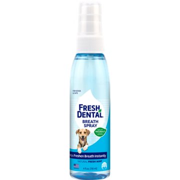 Naturel Promise Fresh Dental Fresh Breath Spray, 4 oz