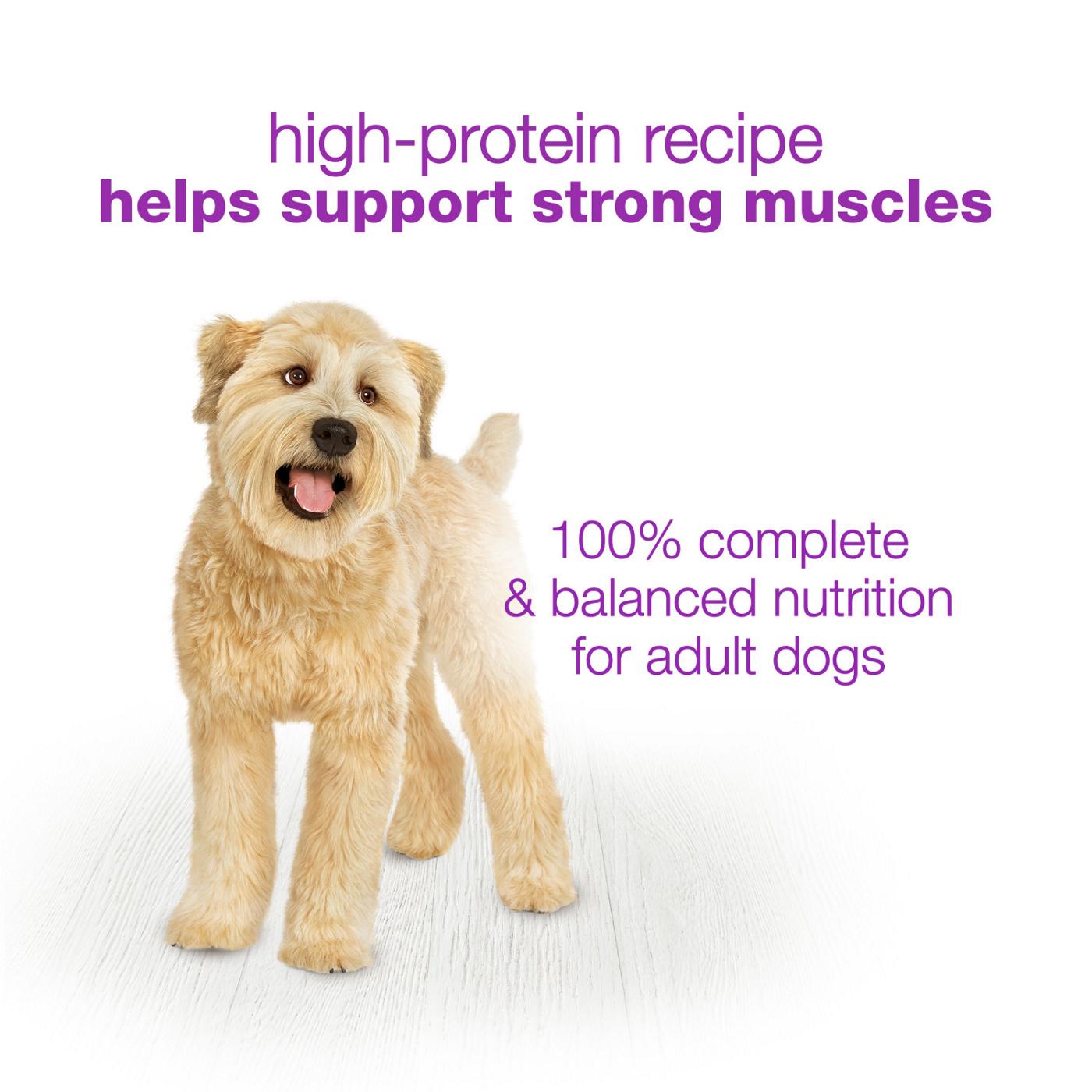 Beneful Purina Beneful Gravy High Protein Wet Dog Food Chopped Blends With Lamb Shop Food at H E B