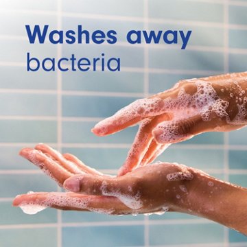 Softsoap Antibacterial Hand Soap Refill - White Tea & Berry, 50 oz