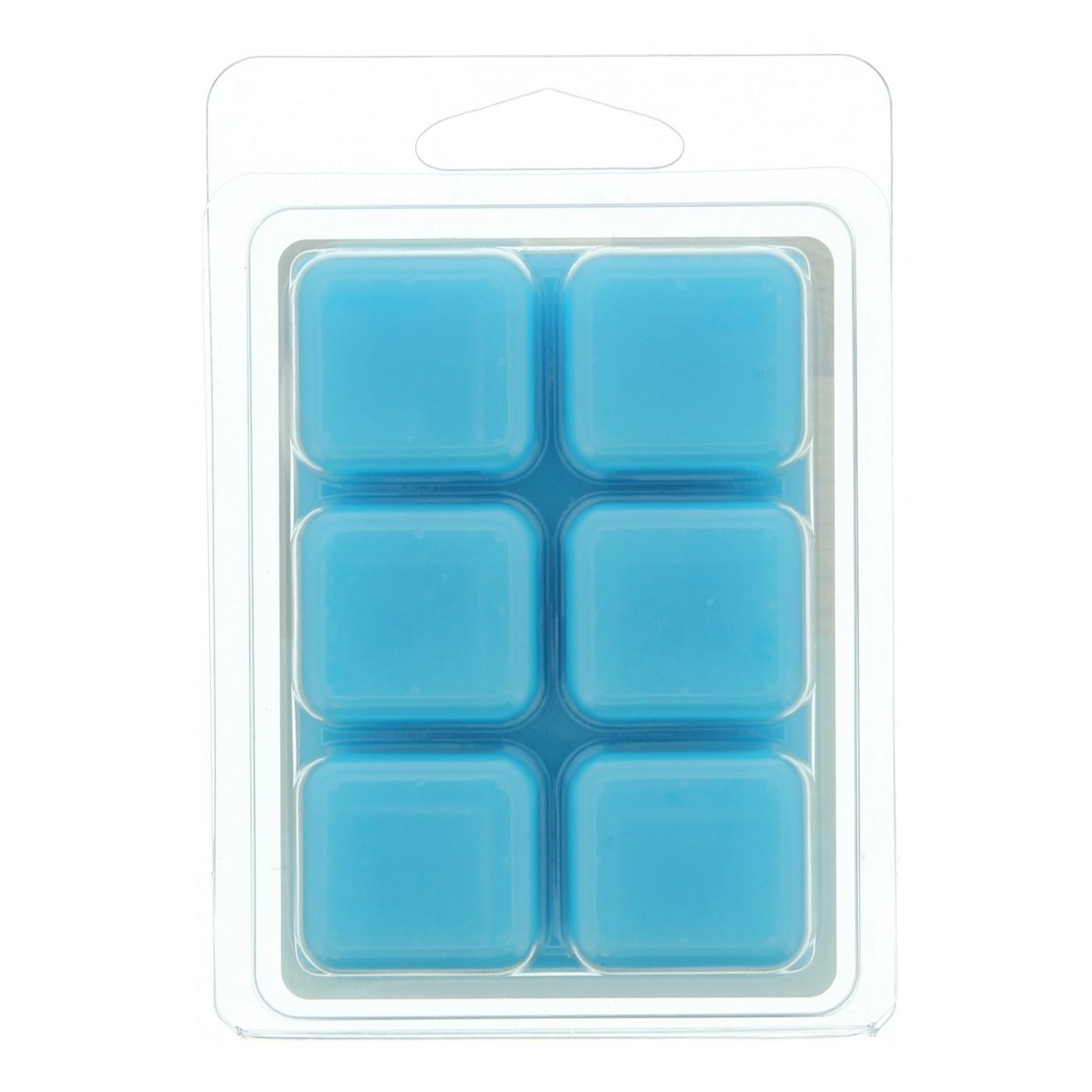 Fusion Eucalyptus & Sea Salt Scented Wax Melt Cubes; image 2 of 2