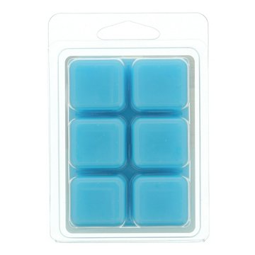 Fusion Eucalyptus & Sea Salt Scented Wax Melt Cubes, 2.5 oz