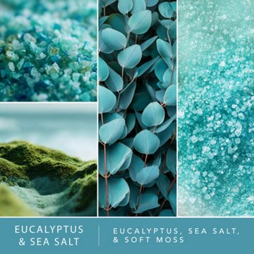 Fusion Eucalyptus & Sea Salt Scented Wax Melt Cubes, 2.5 oz
