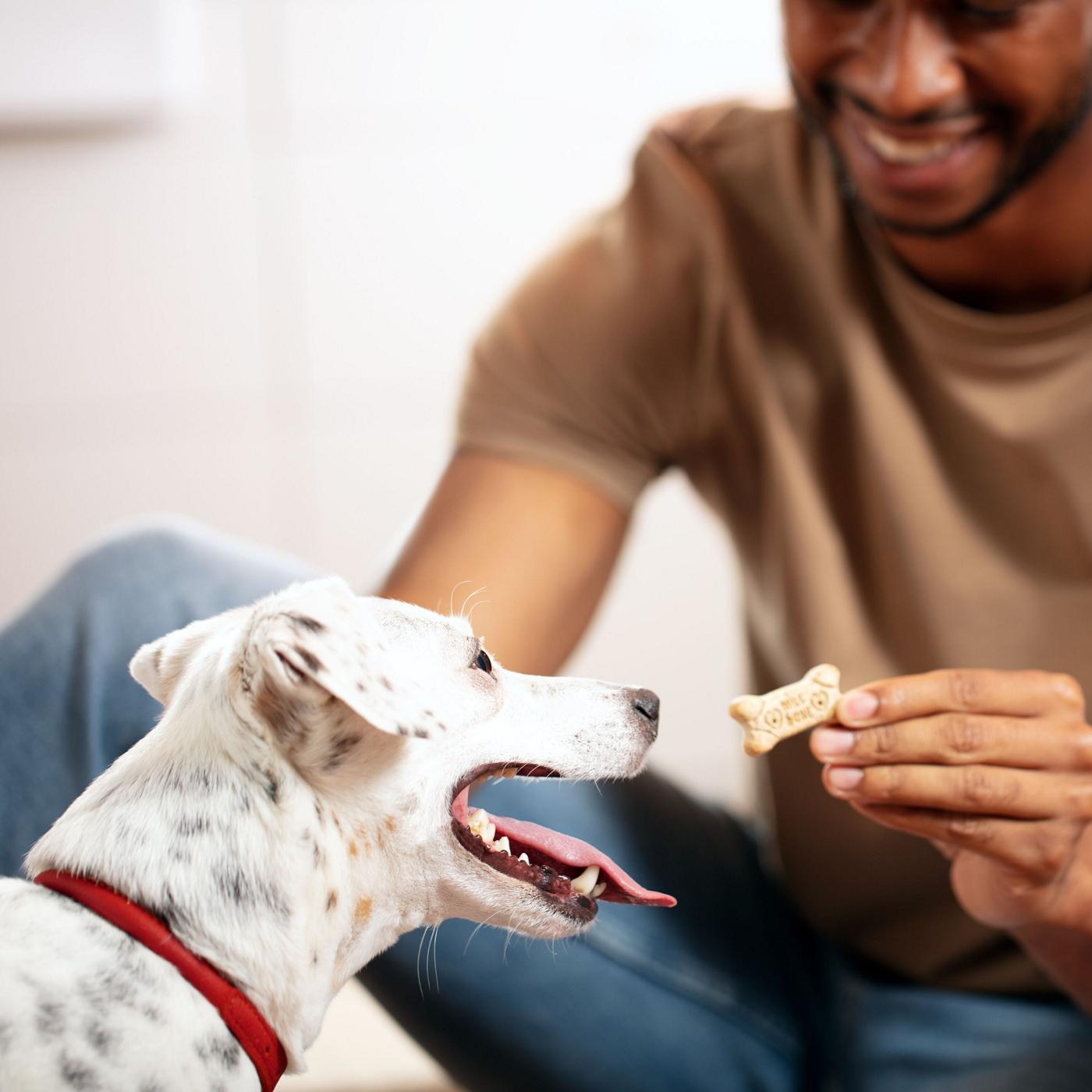 Milk-Bone Medium Dog Biscuits; image 3 of 7