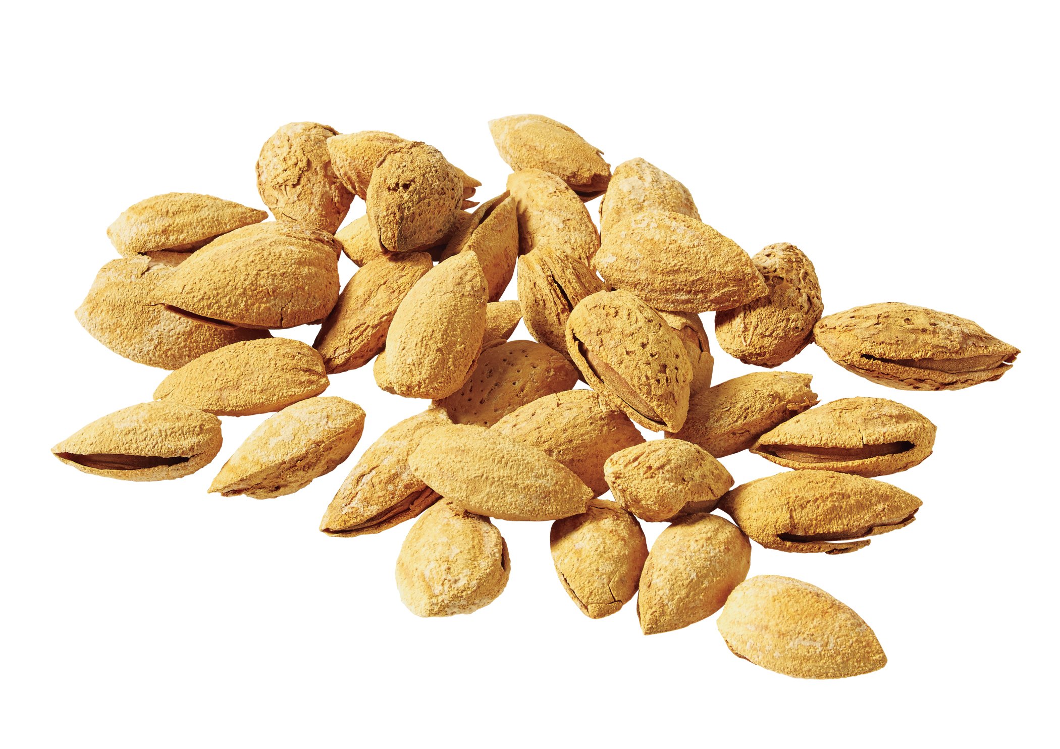 Nature's Eats Dry Roasted Salted In Shell Almonds - Shop Nuts & seeds ...