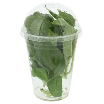 Fresh Aqua-dome Basil