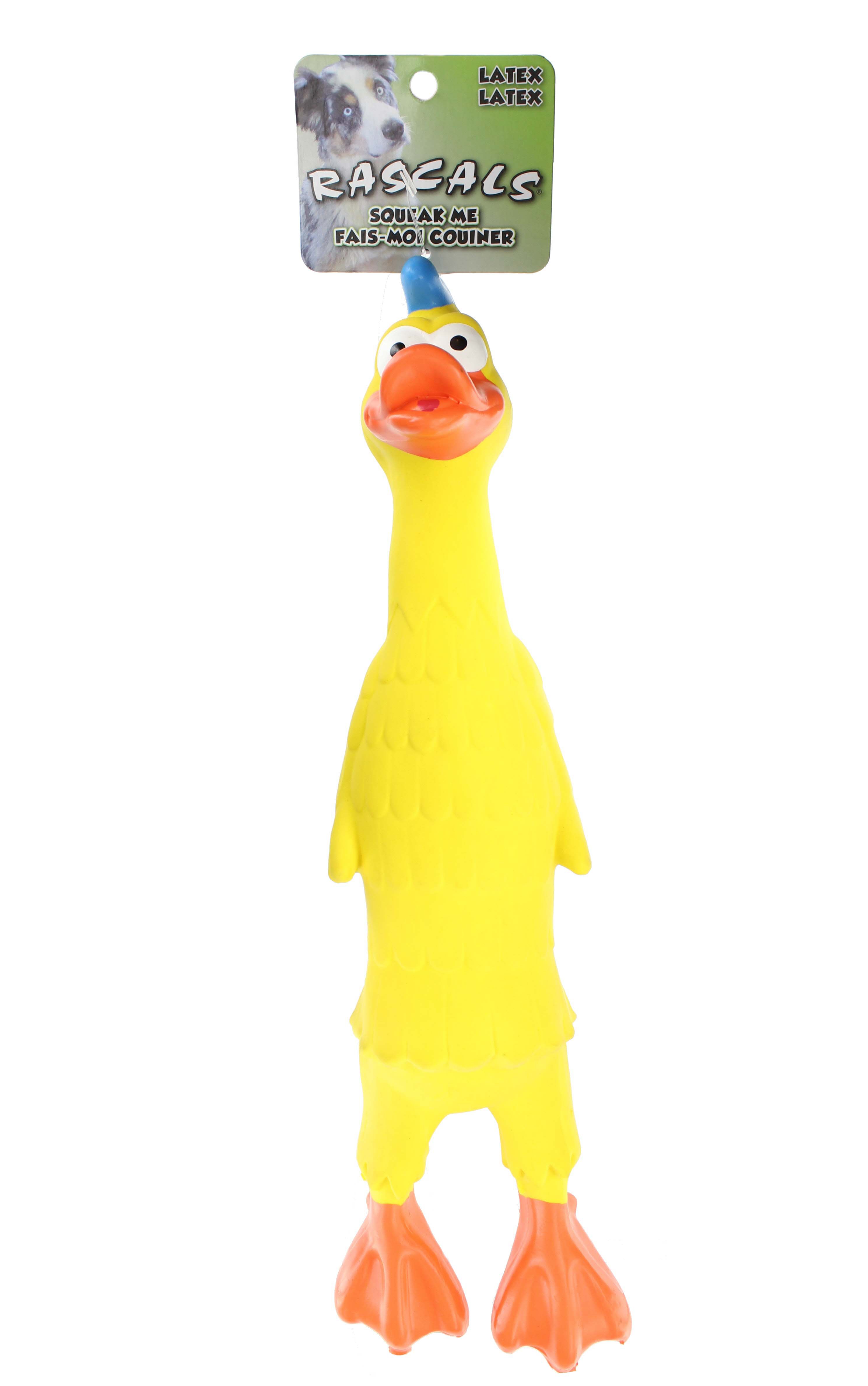 Coastal Pet Products Rascals Latex Bird Dog Toy Assorted Shop Dogs at