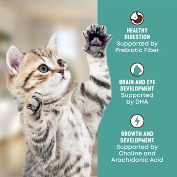 Heritage Ranch by H-E-B Kitten Grain-Free Dry Cat Food - Chicken & Chickpea, 6 lb